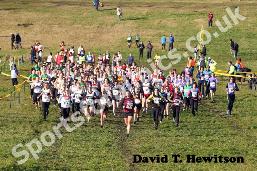 Senior womens start, 2012 Start Fitness North East Harrier League, Cramington.